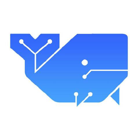 正经五十二赫兹