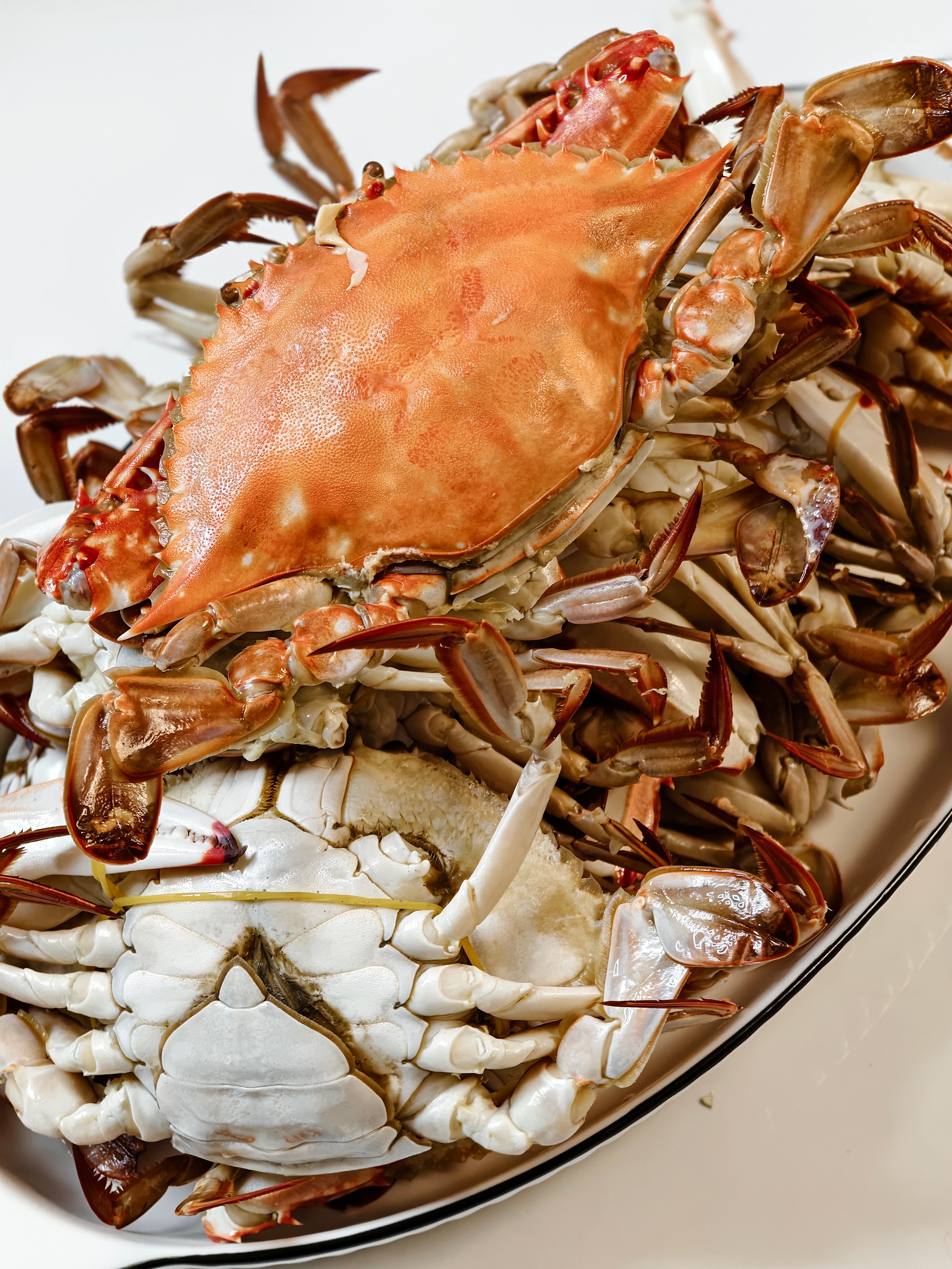 冬至吃饺子嘛？ 