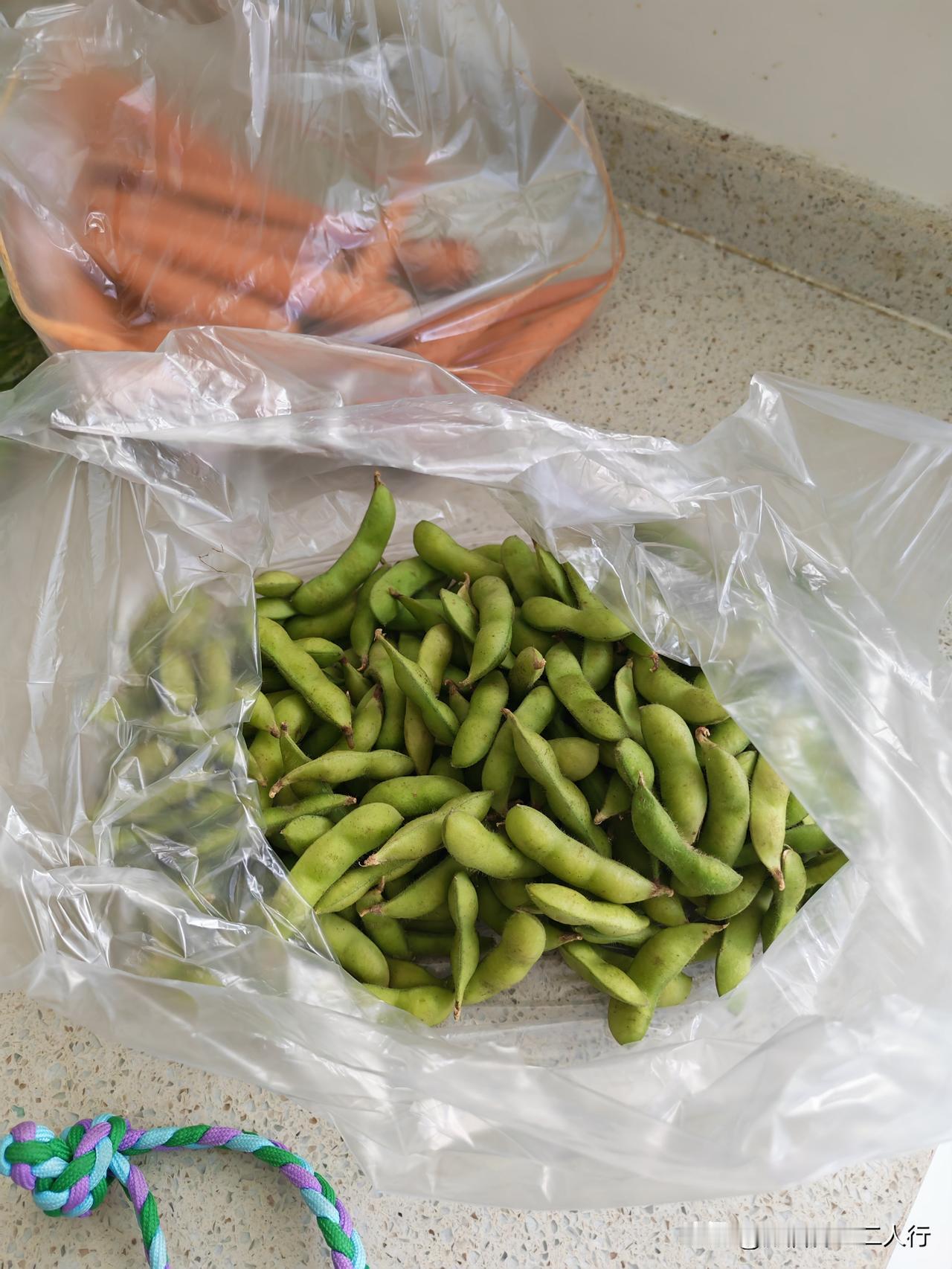 看看潍坊的菜价。

刚才虞河路玉清街路口的孙家集上买菜回来。

毛豆：6.2
大