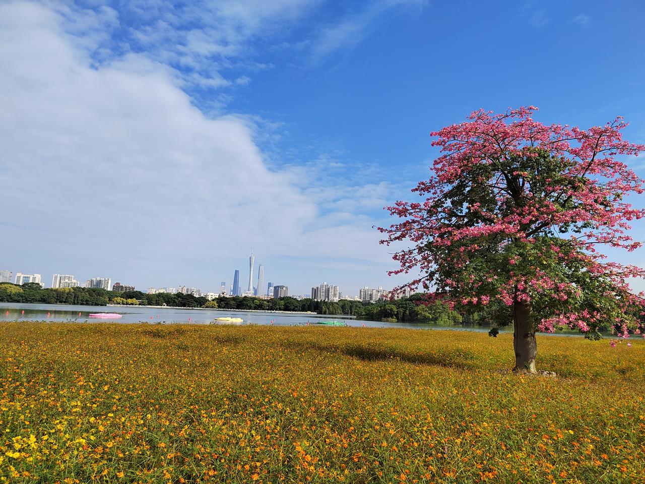 转眼，最早一批60后已年近花甲，步入人生下半场。
这代人吃过苦、受过累，大半辈子