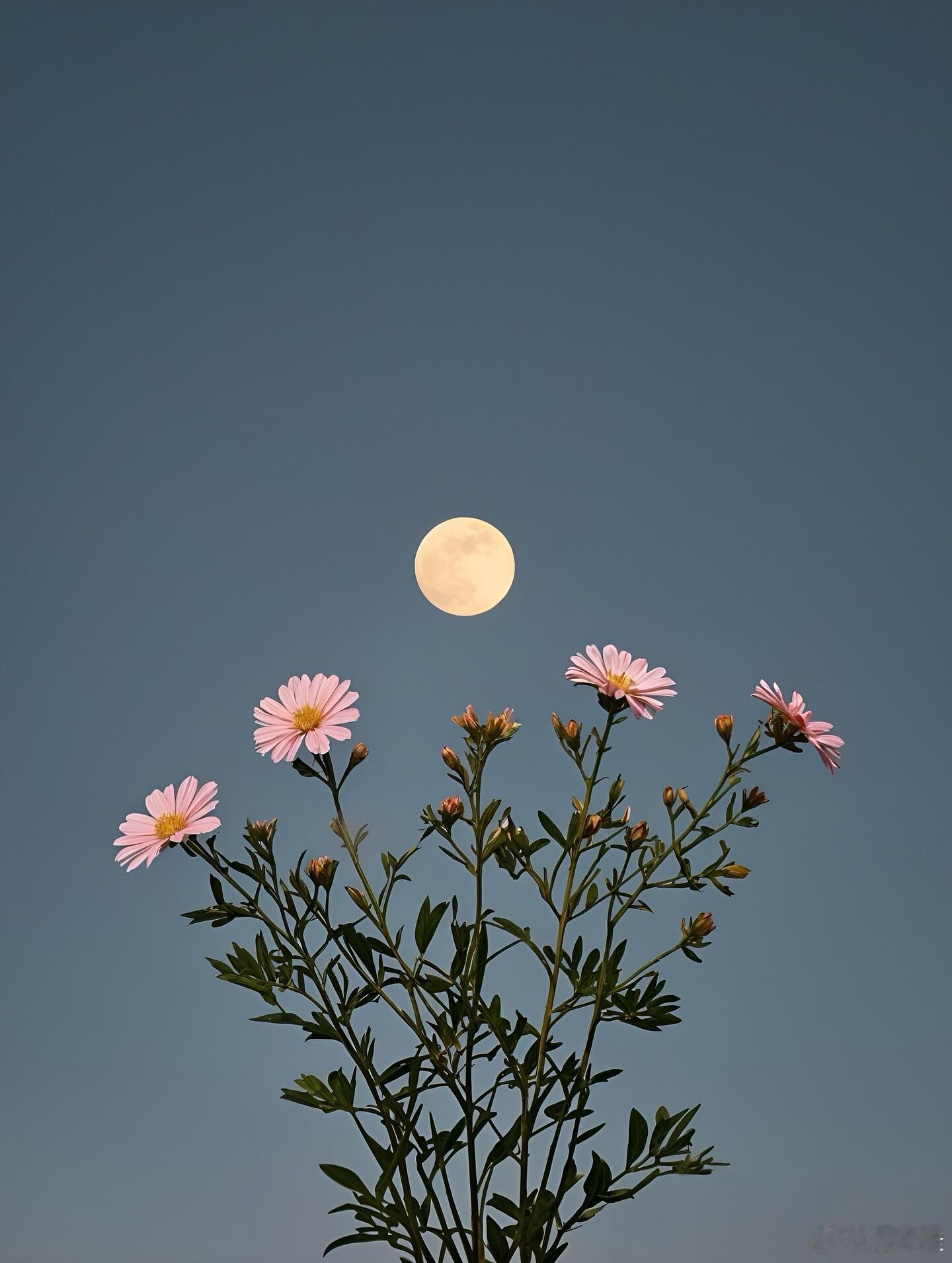 对于过年不同年龄的人有着不同的期盼一岁有一岁的味道一站有一站的风景情感生活人生的