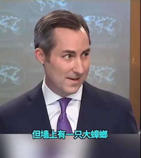 美国务院新闻发布会被迫中断，只因为现场出现了一只大蟑螂。新闻发言人看见这只蟑螂后