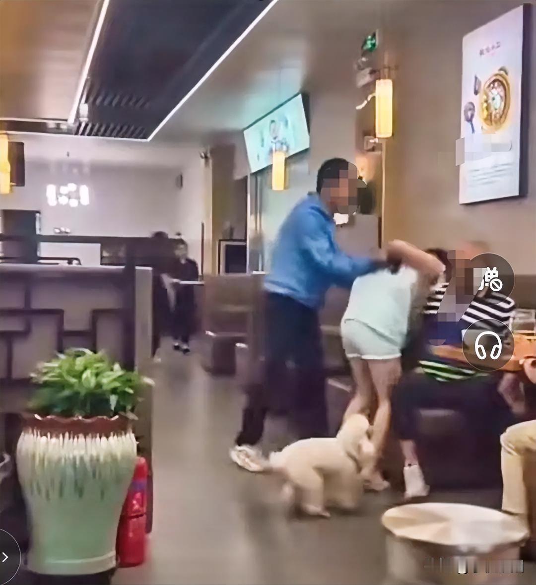 又是一起因狗引发的矛盾
也不知道该怎么说，下次注意一点吧。
女子牵狗到餐馆用餐时