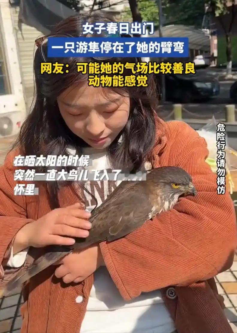 谁能料到，晒个太阳也能收获一场奇遇？近日四川成都，一位女子趁着春日暖阳出门散心，