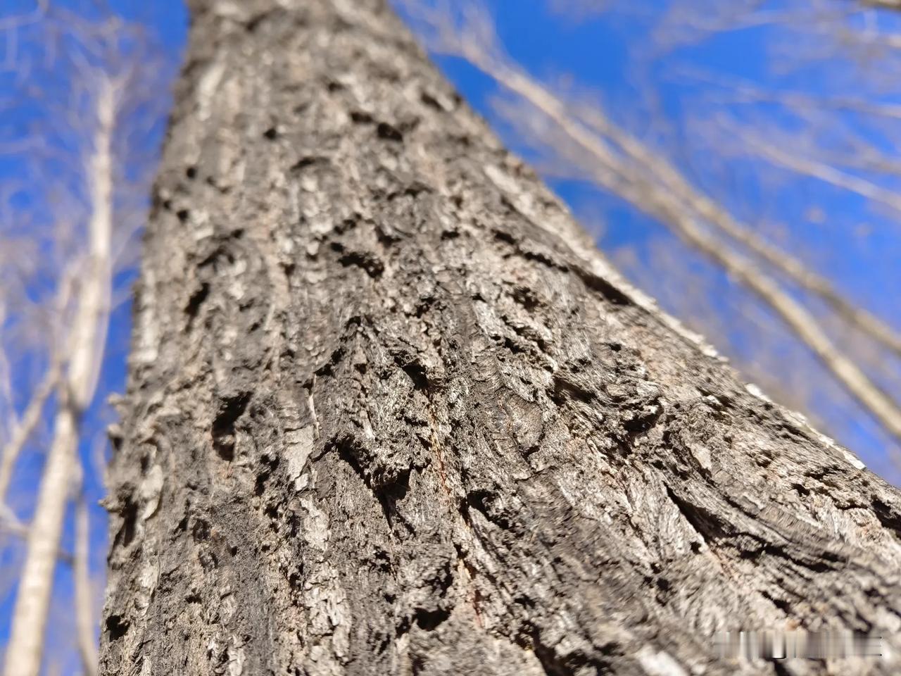 总结了一下2024年的感受
今年没有投入大量的时间去学习。然而今年确实是感觉过得