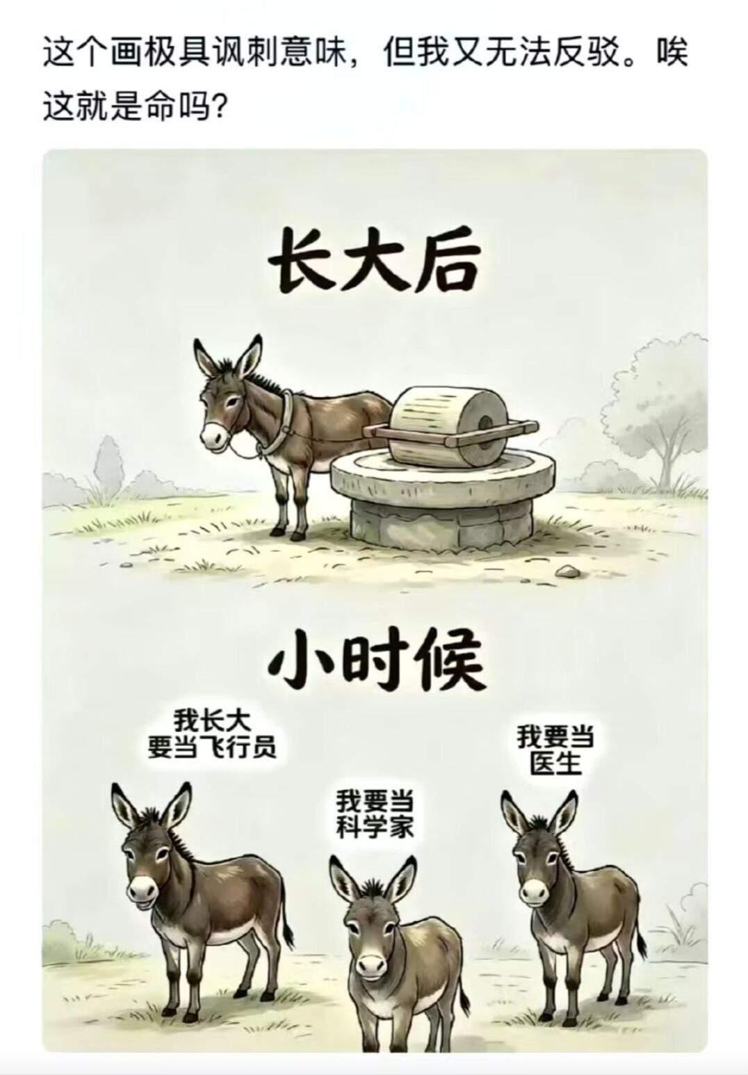 小时候的梦想，实现了吗