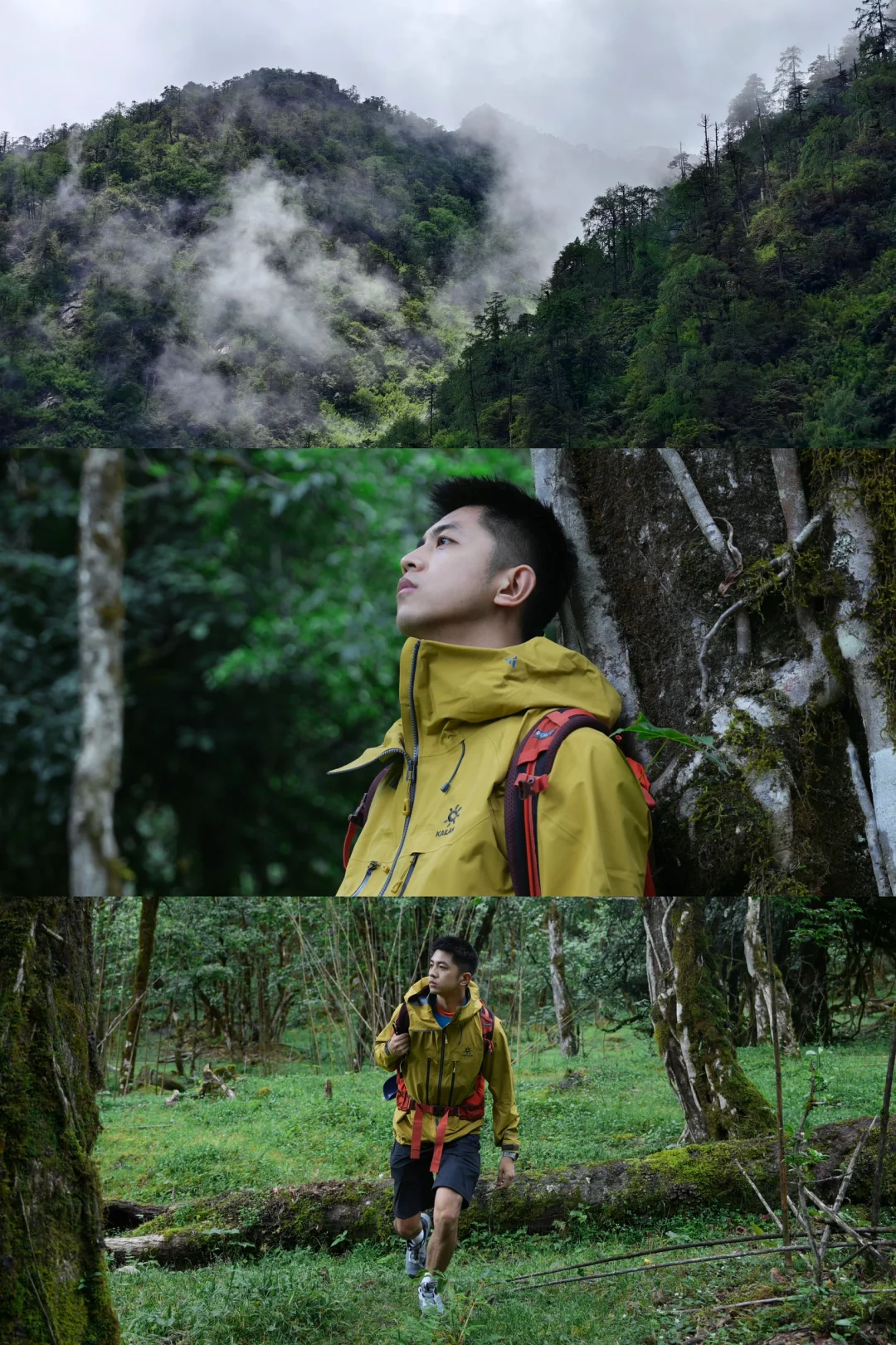 在云南！🌲国家地理推荐中国zui美森林