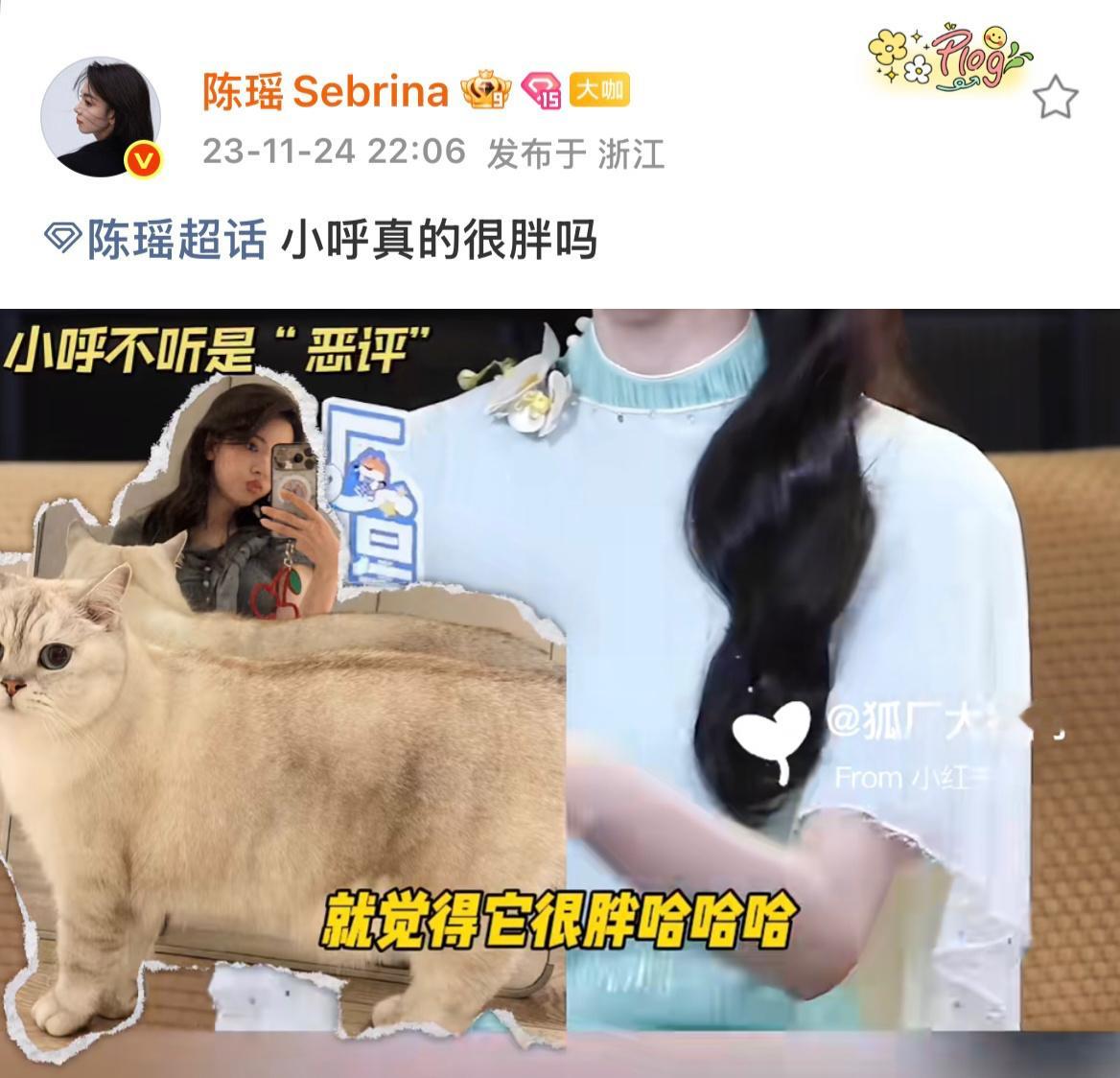 呼……可是我们陈瑶 只是一个小呼甜唯而已啦霍仙姑 🩷陈瑶霍仙姑 💕陈瑶姑力全