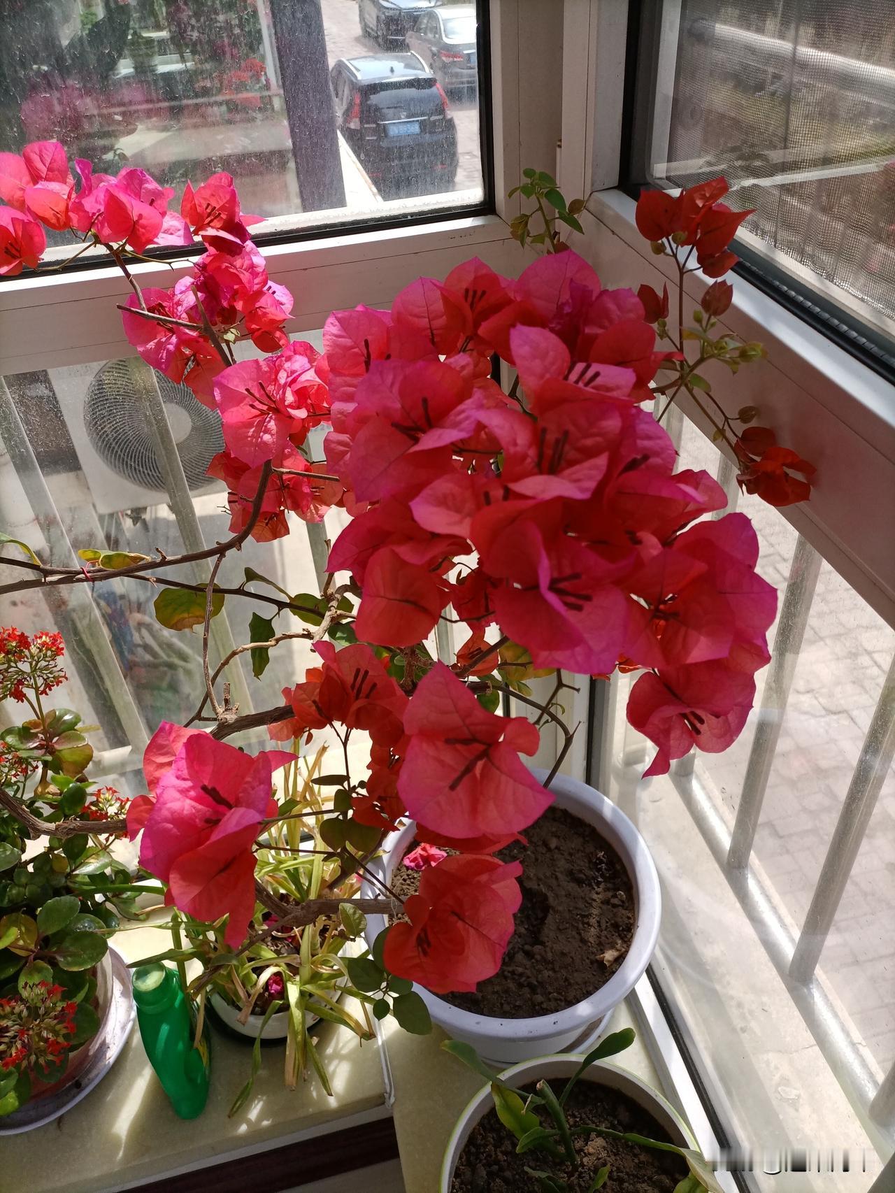 陪伴和金钱，就像硬币的两面，缺一不可。