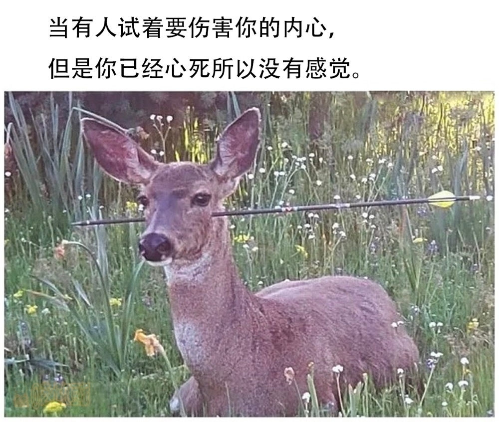 我#me_irl# ​​​