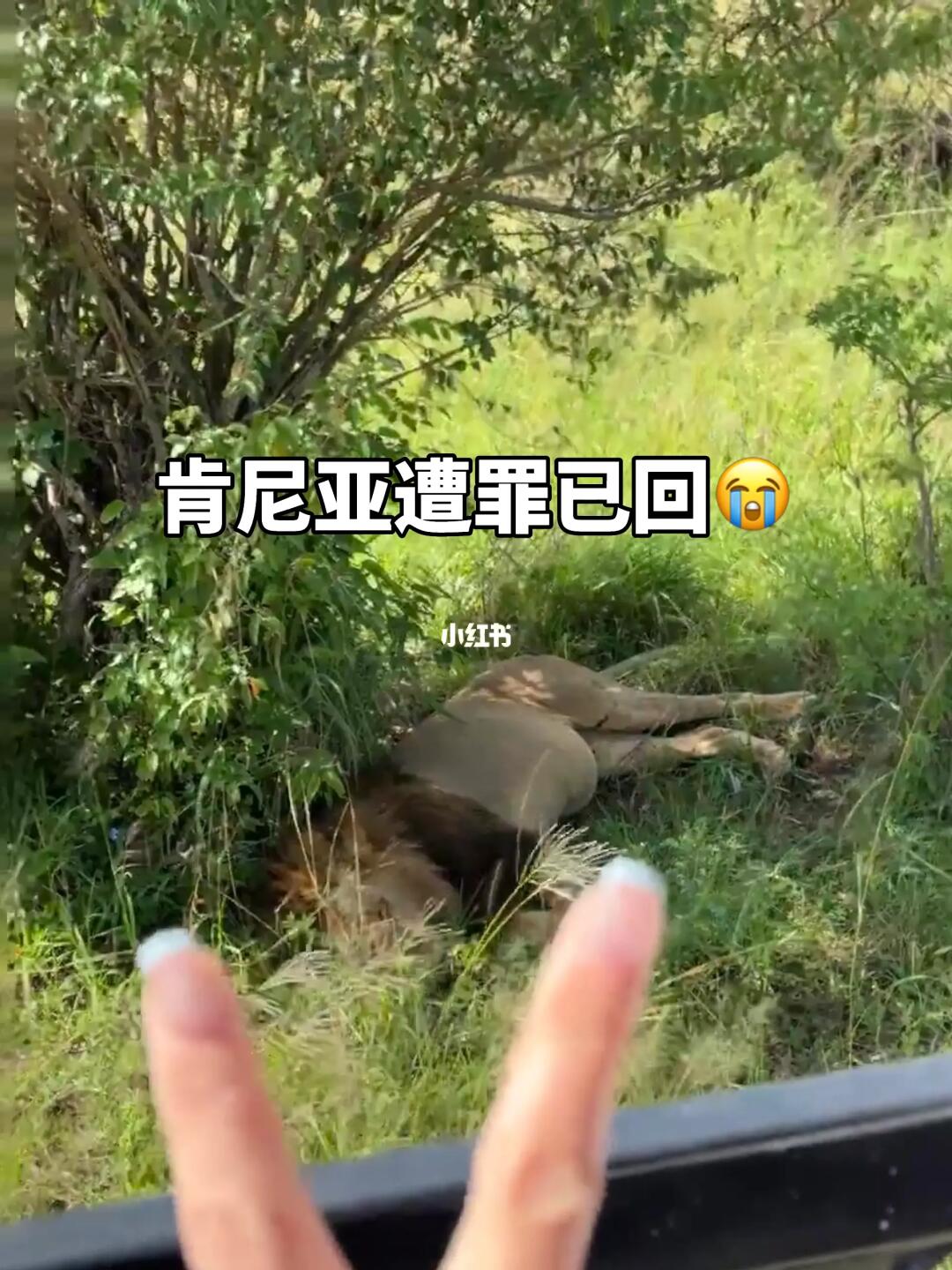 肯尼亚受罪已回，再也不来了……！