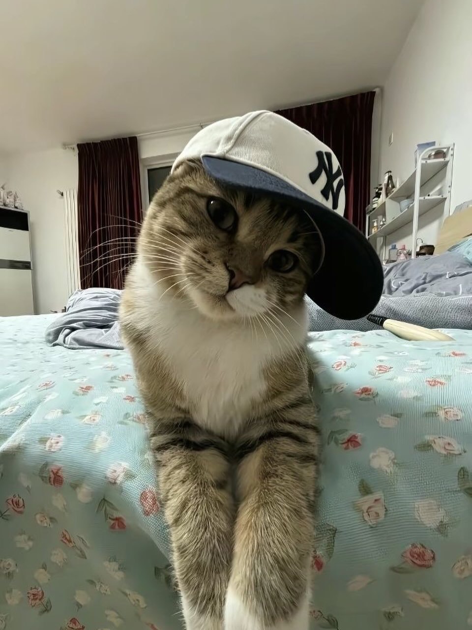 对对对随机老琳挑战 