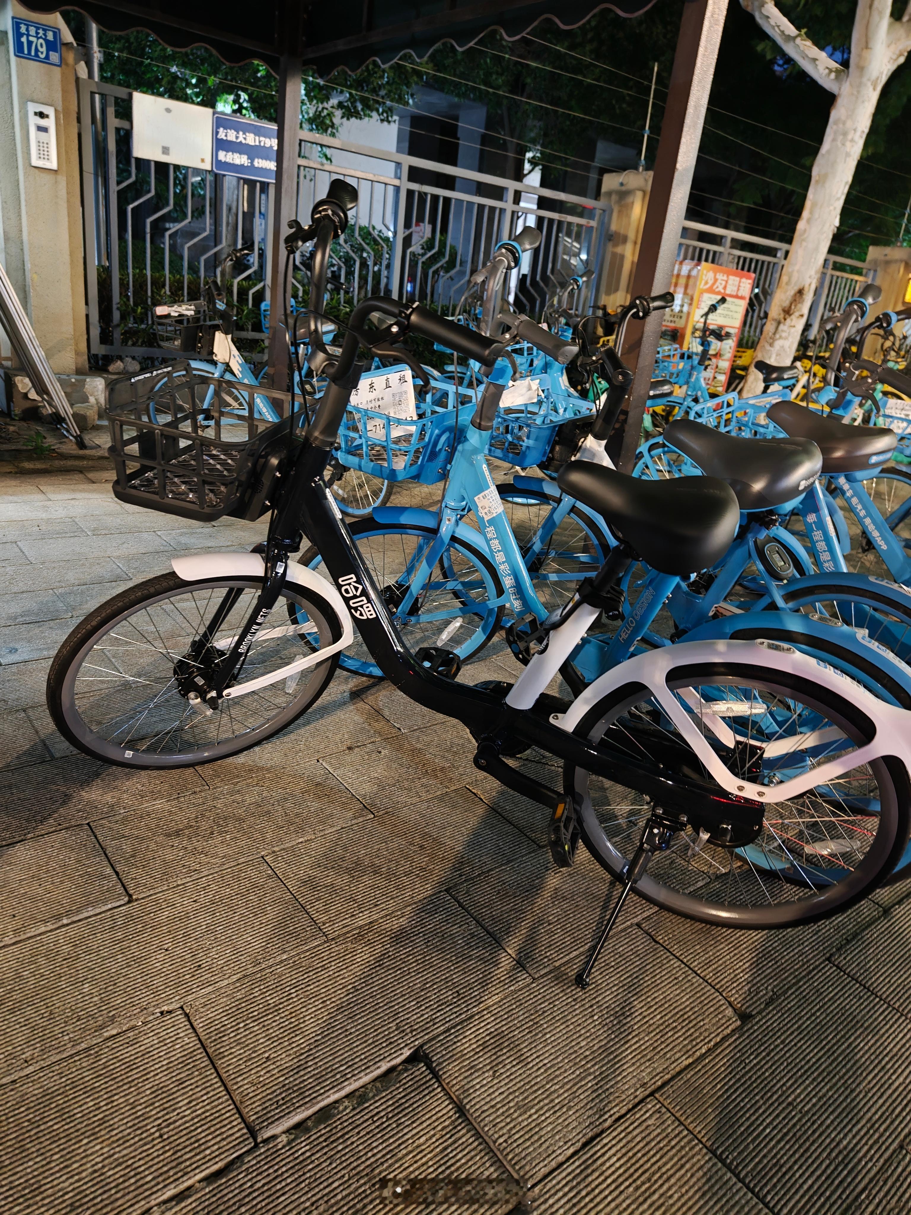 哈罗单车黑化了🤔第一见黑白配色 你们看到过吗？ ​​​