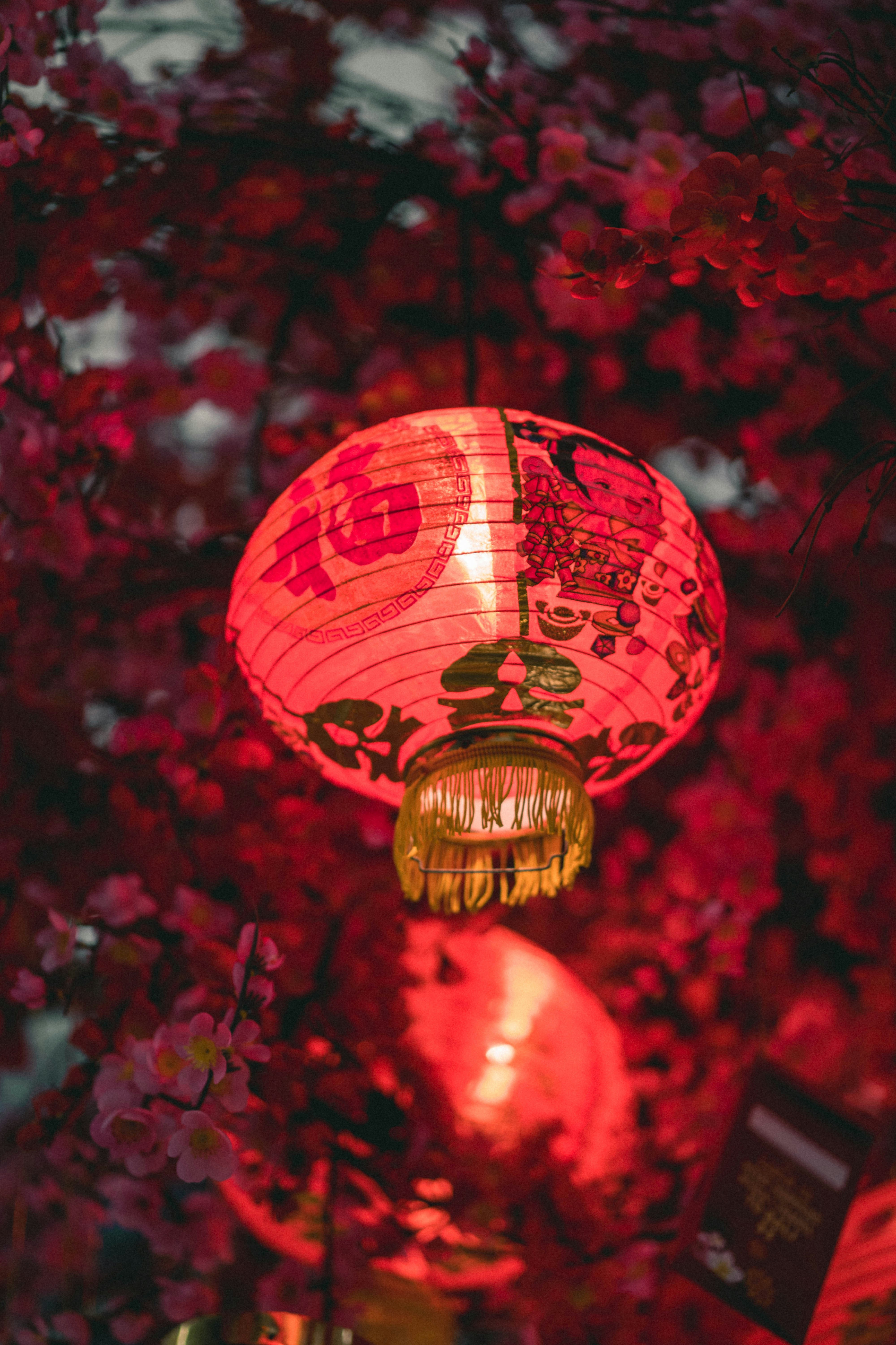时间过得真快，历书上，今年甲辰年又只剩下最后一页了。站在年底回望全年，甲辰，是一