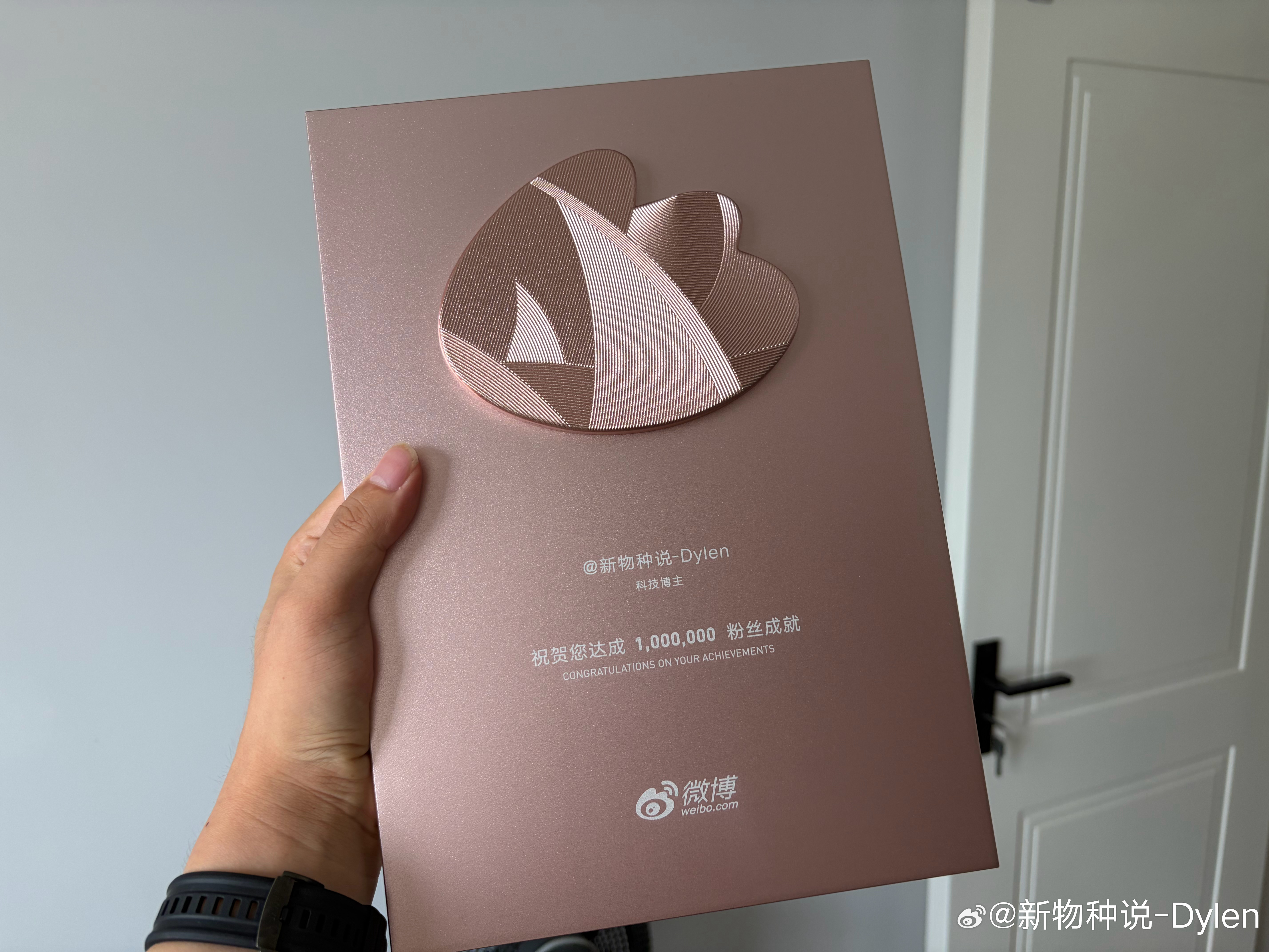 微博的一小步，dylen 的一大步，继续加电！名人堂