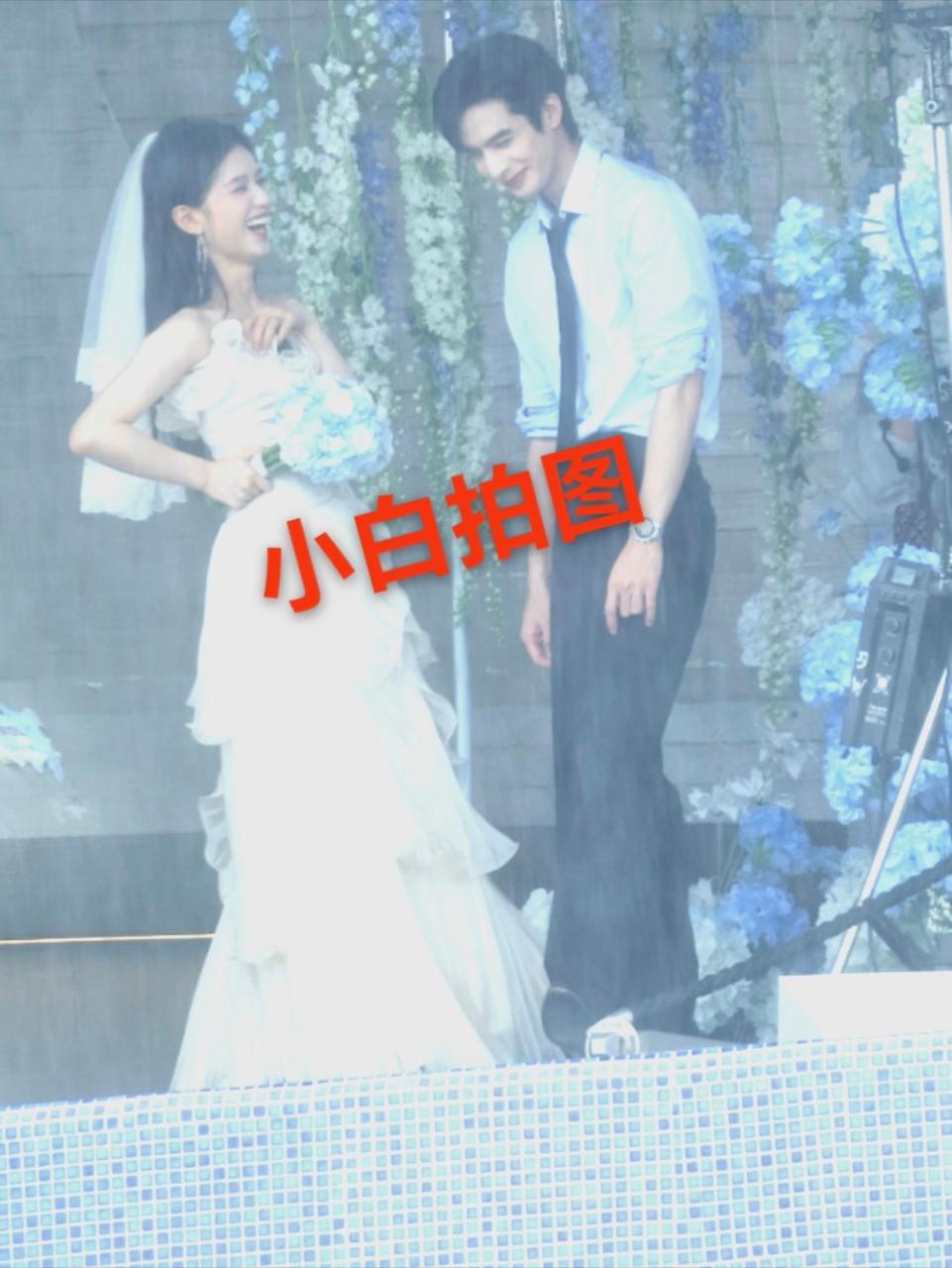 我今天参加婚礼就像他俩笑成这样 