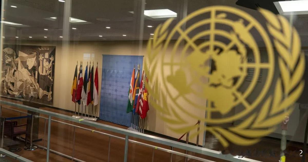 世界拥有阻止普京的必要力量：乌克兰就炮击基辅问题召开联合国安理会会议


乌克兰