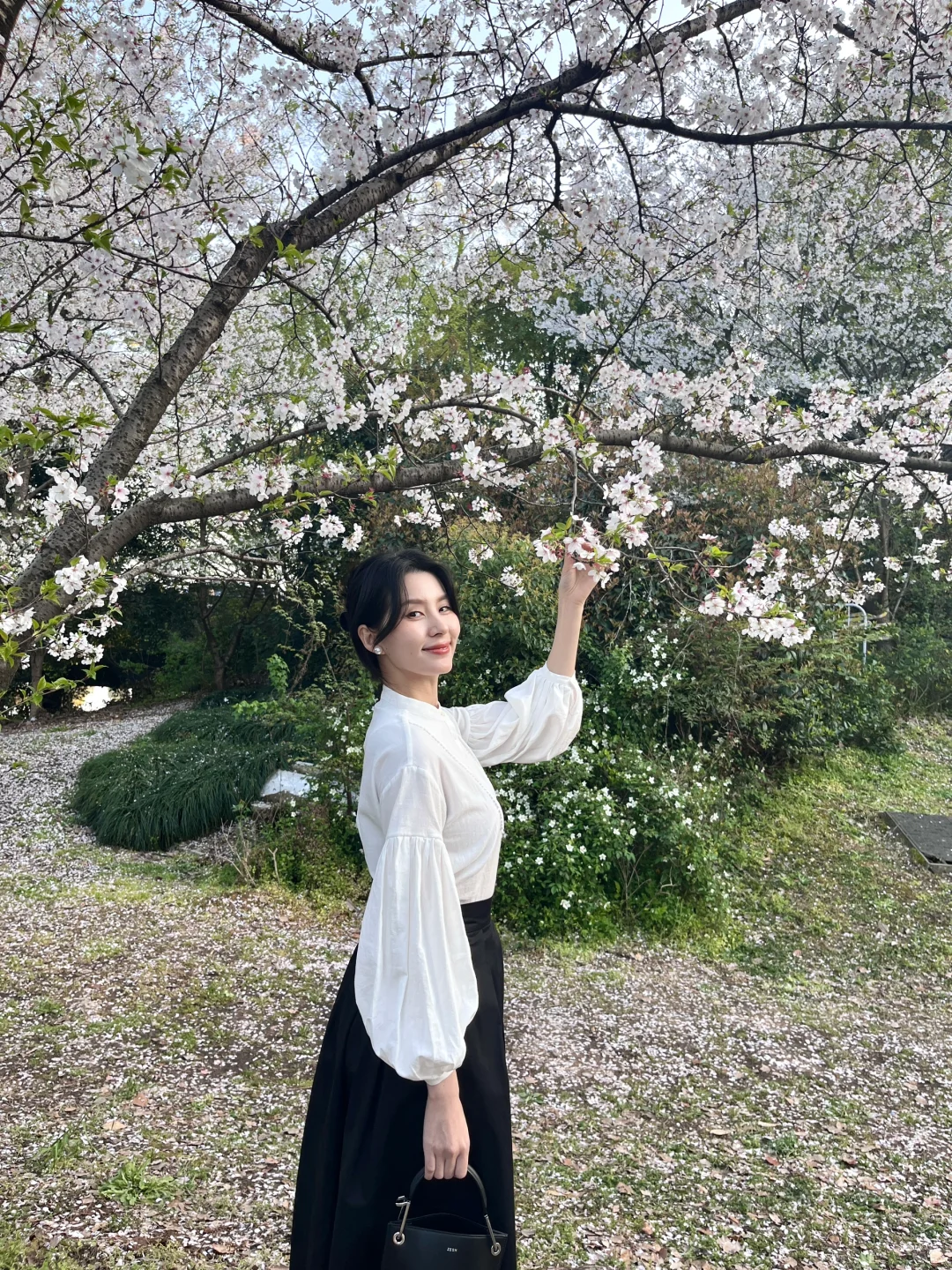 选一身给樱花当一次“绿叶”