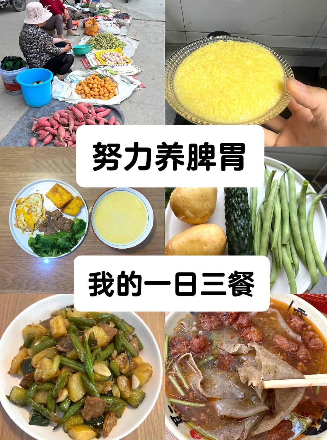 养胃路上，遇到更好的自己。早晨去菜市场溜达一圈， 
看看那些摆摊卖菜的老年人，
看看当季的新鲜蔬菜， 
挑选一些合适的带回家，再把他们做成饭菜，
这真的是平淡生活中比较美好的事情了～～ 
顺应季节吃菜是我说了很多遍的事情～
健康是一方面，也真的很有趣哦～ 
因为你在菜市场会看到每个时节蔬菜的变化：
春季市场上都是卖香椿，薄荷，洋槐花～
夏季市场上都是卖番茄，黄瓜，豆角～
每个季节都各不相同～～ 
午饭尝试了小米米饭，对象和孩子都说不好吃，没有米饭香～事实确实这样，但我吃着还好，我不挑哈～ 
午饭后，孩子爸说