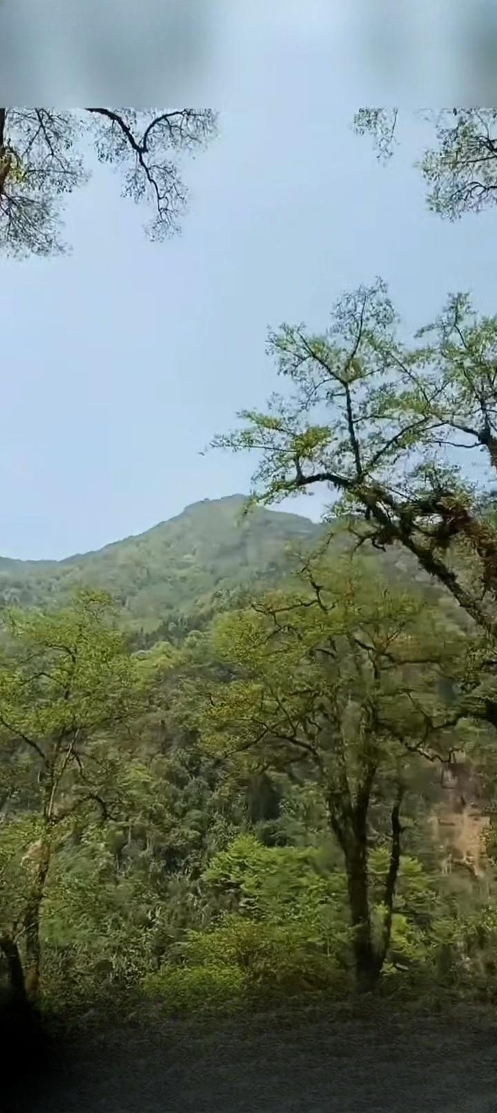 风掠过鬓角时，忽然惊觉，半生已在步履中悄然铺展。曾以为日子是奔腾的河，鲜衣怒马，