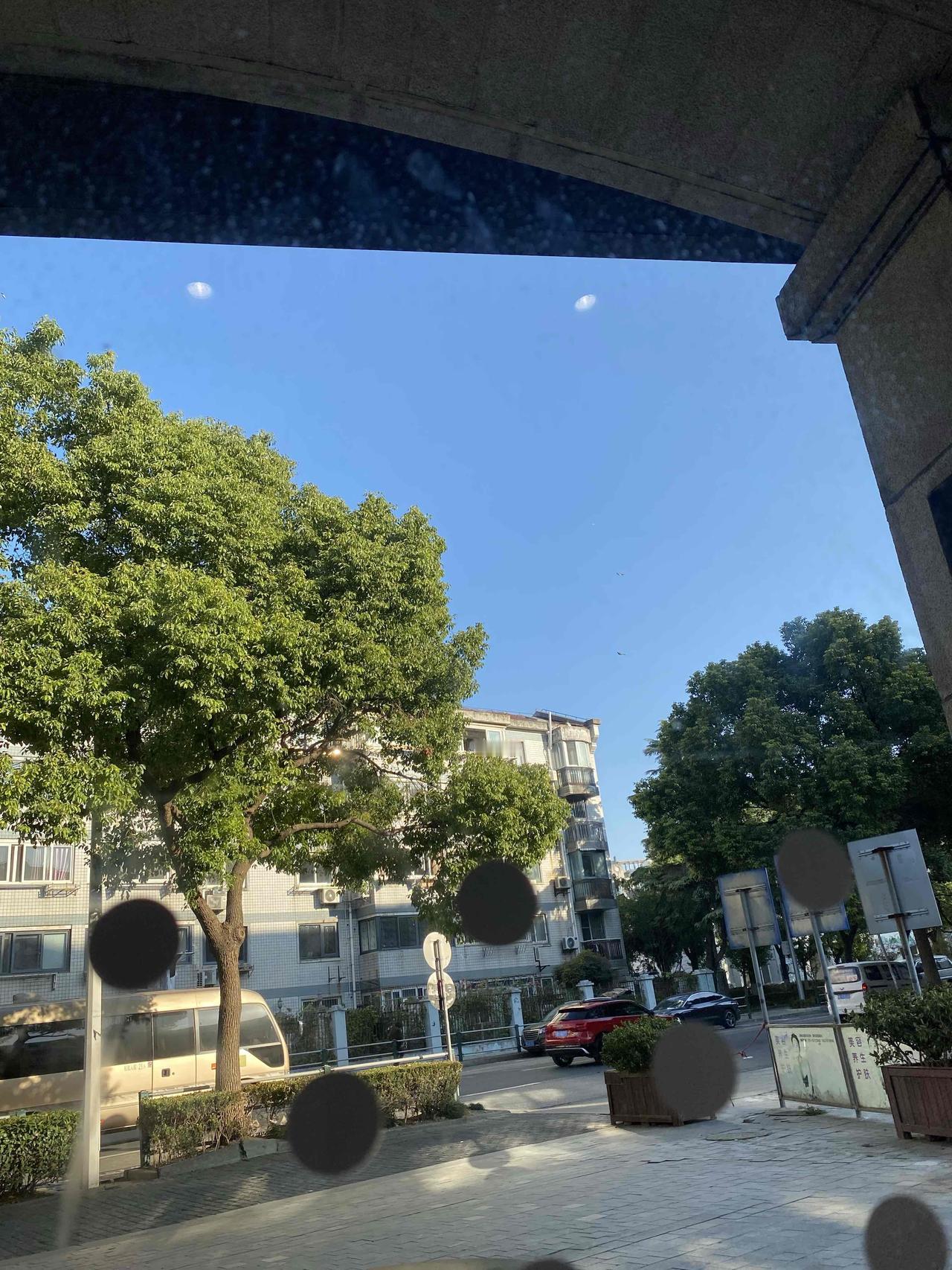 今天看到的一句超有感觉的话：“世界有浮力，你放松就能被托举。”

最近我就过得有