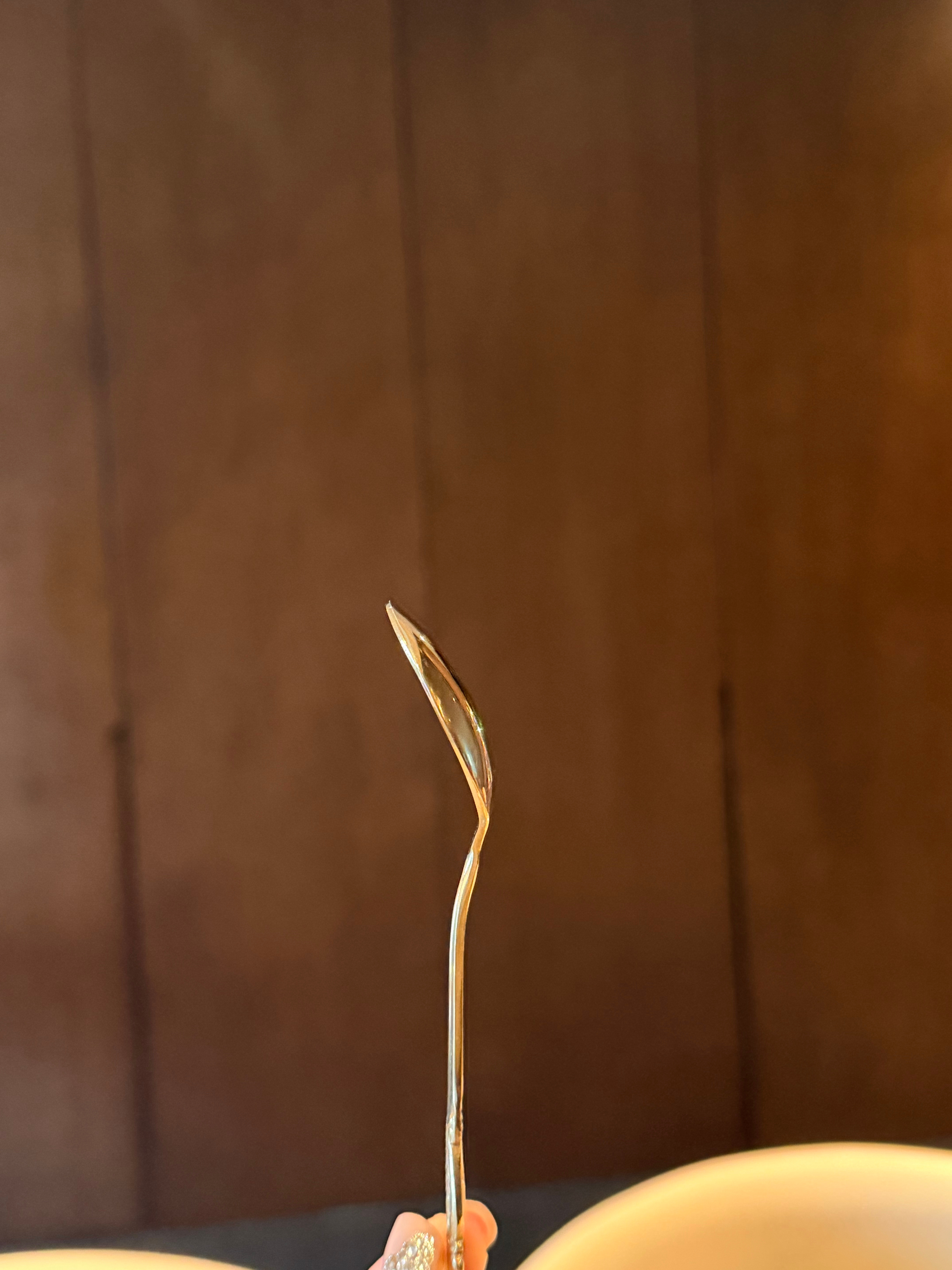 发这个，不是想说我有特异功能，而是证实了，这个三维世界都是投影 