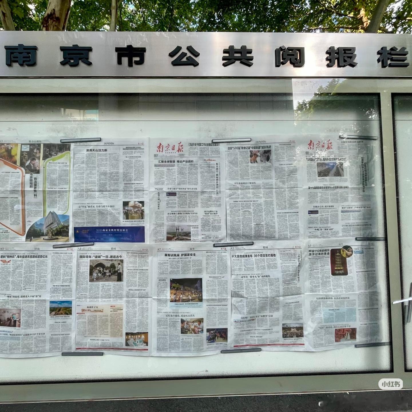 南京日报报道:在南京青奥体育公园体育馆举办的陈楚生