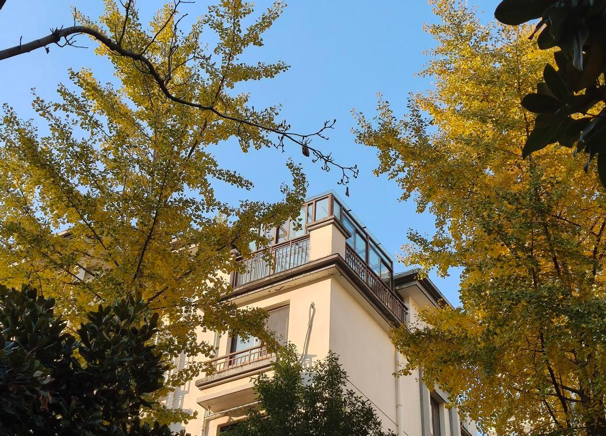 当年发誓“死也不回这破地方”，结果转了一圈，那个前企划部的女同事又坐回了隔壁工位