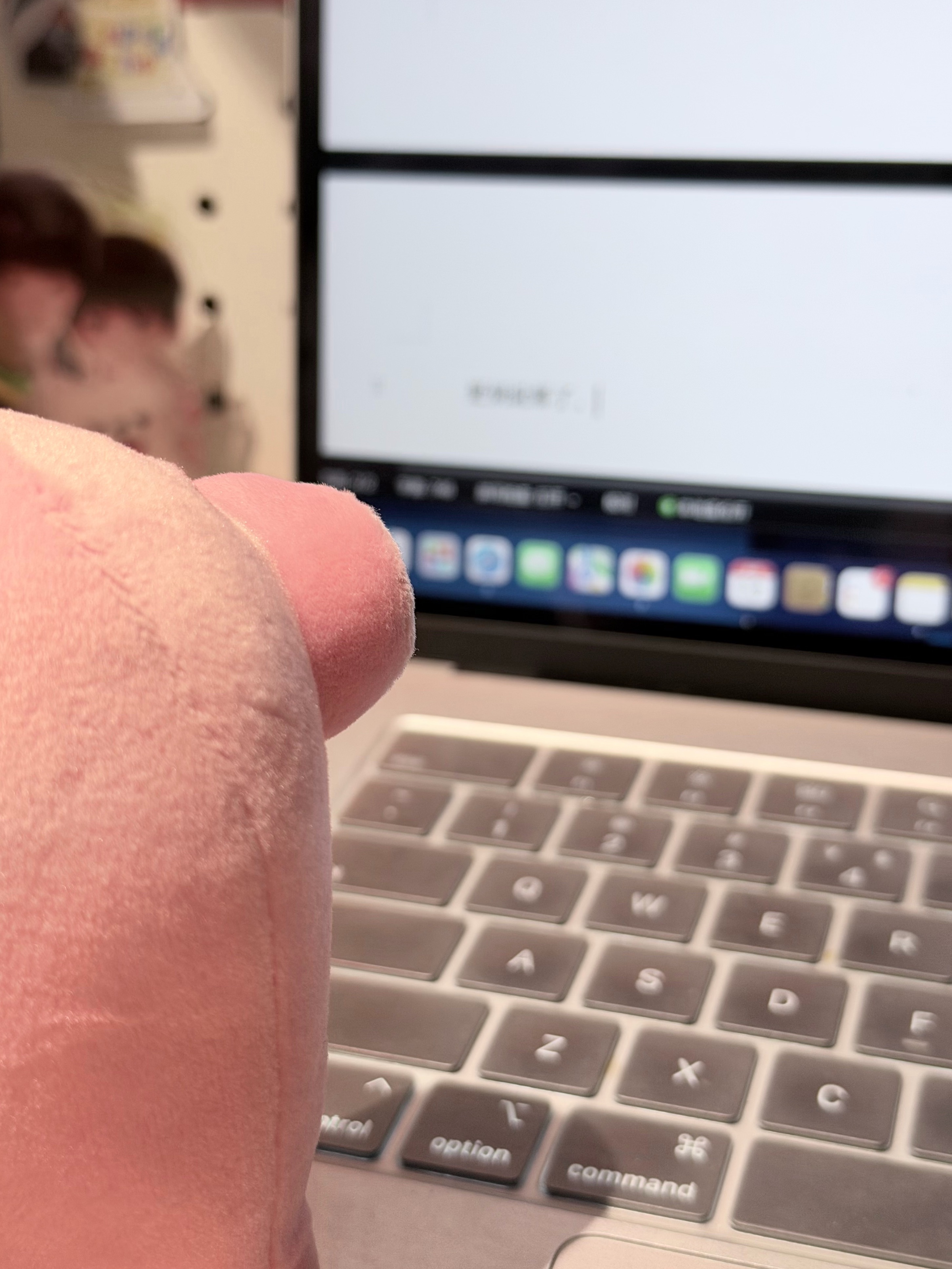 🐷沉思中。 