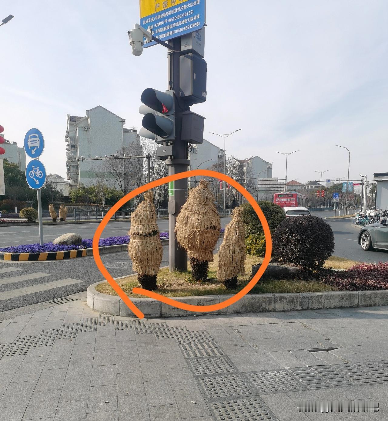 城市里的不同之处，
别具一格啊！