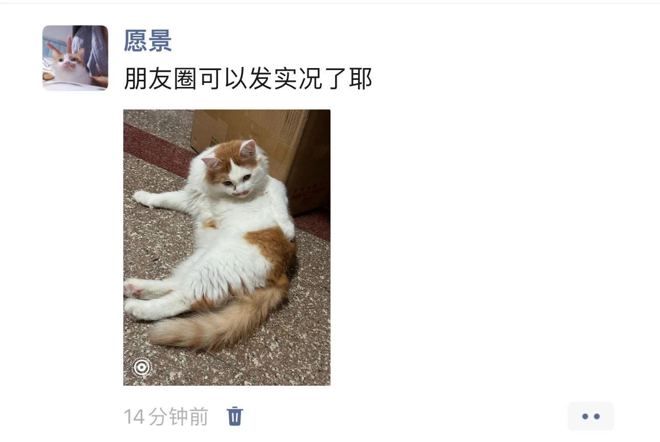 微信可以发实况了！！！
