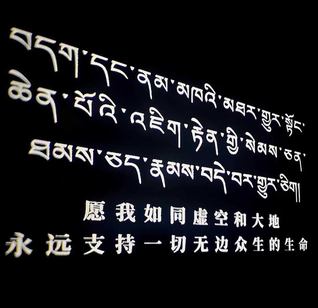 景区标语不只有“我在某地很想你” 