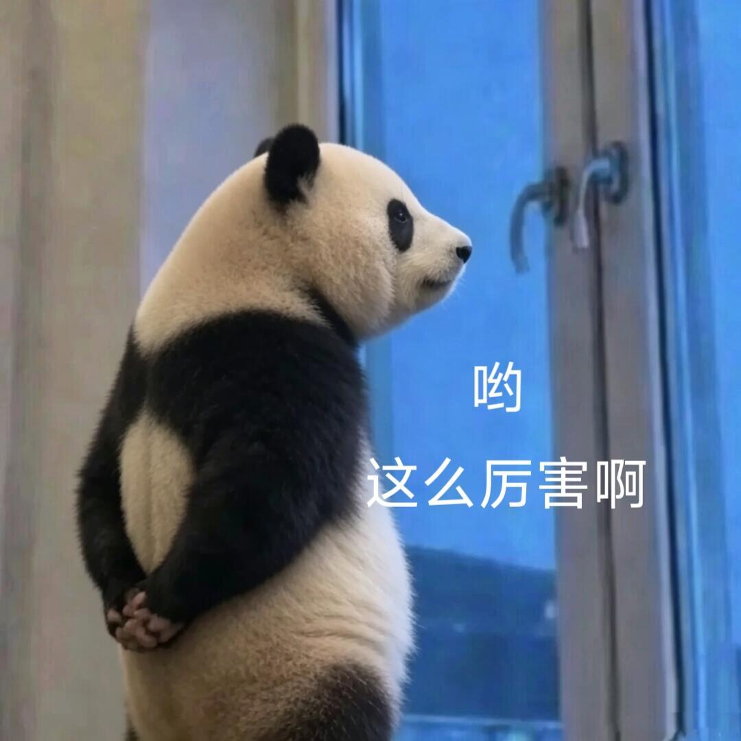 猫和负鼠被干掉了～ 