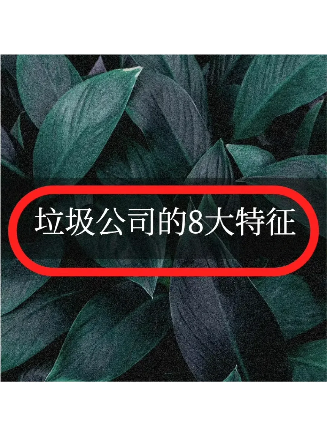 垃圾公司的8大特征，中4条，就赶紧跑吧！