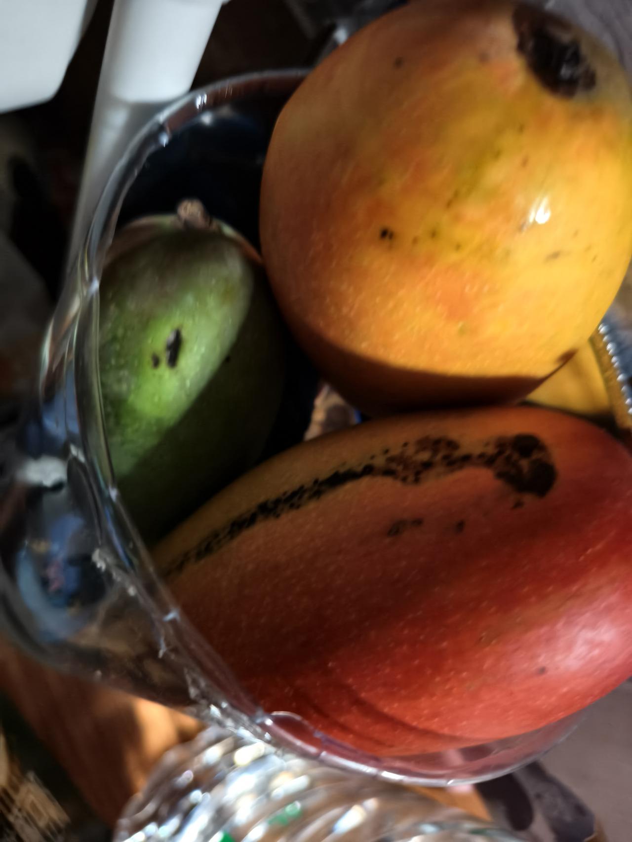 我们的芒果🥭居然成了红绿灯🚥，哈哈，孩子的发现也是够细心了。
自然甜芒果 芒