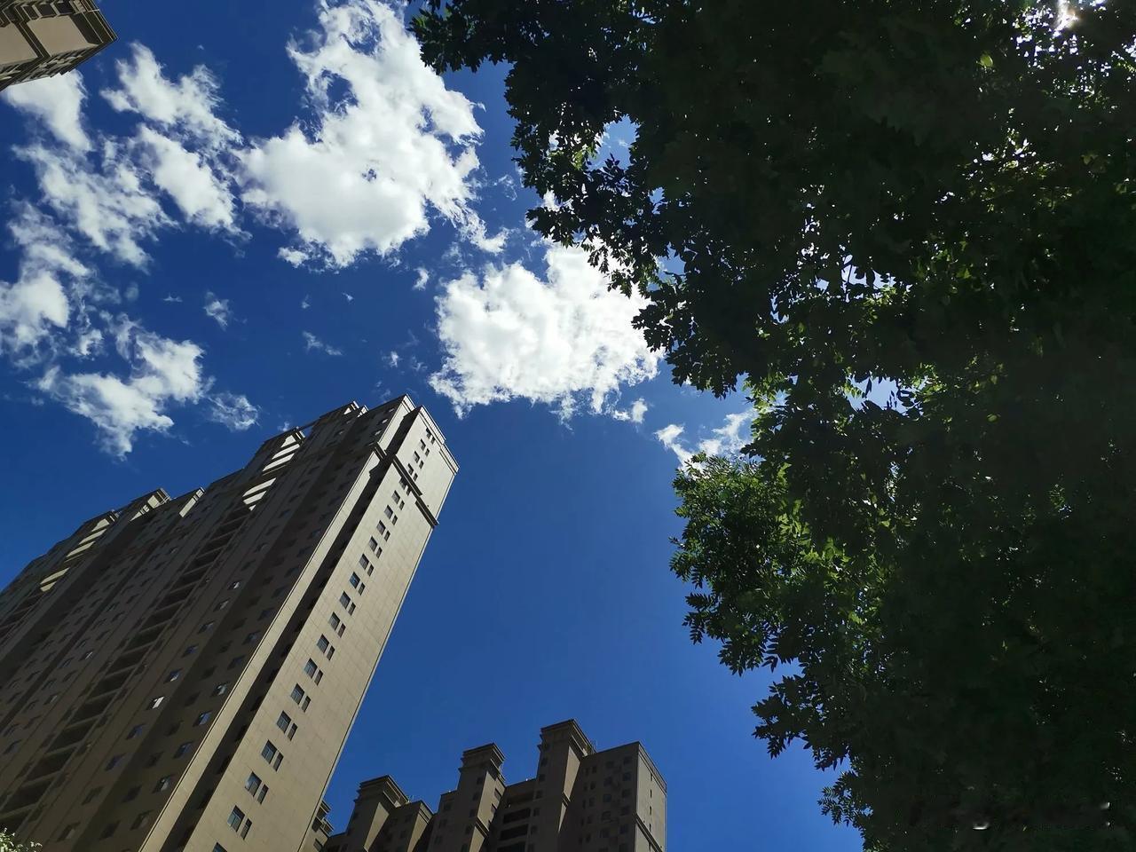 拆迁给房票  
可行性值得商榷
这么说  主要基于这几点
一是有效期大多为一年