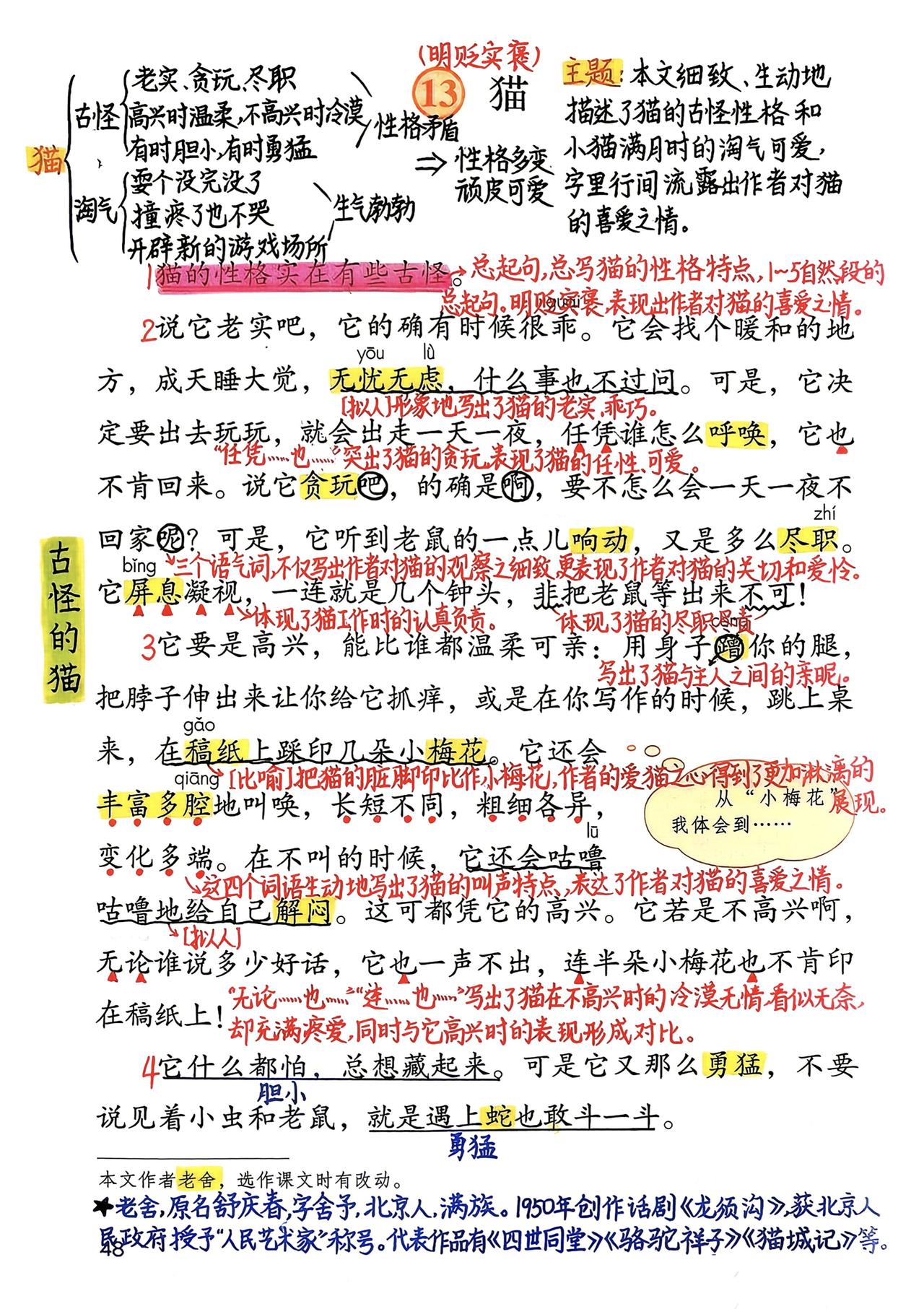 四年级下册语文，第四单元《猫》《母鸡》《白鹅》《语文园地四》课堂笔记，收藏复习~