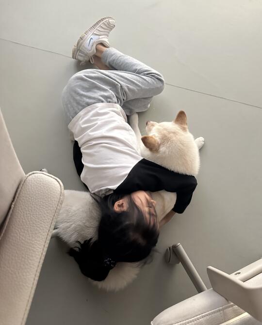 《陪伴犬》