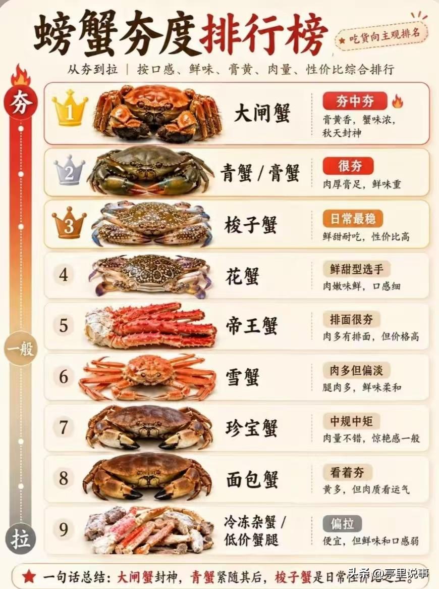 螃蟹夯度排行榜（不认同版本）
这个夯度排行榜，我相信不会是沿海的螃蟹爱好者制作的