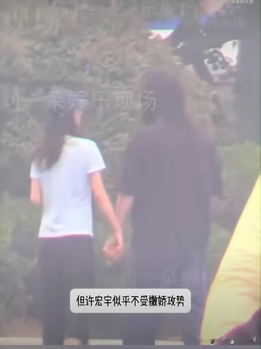 导演许宏宇与女演员张雅钦酒店同宿牵手撒娇画面全曝光 