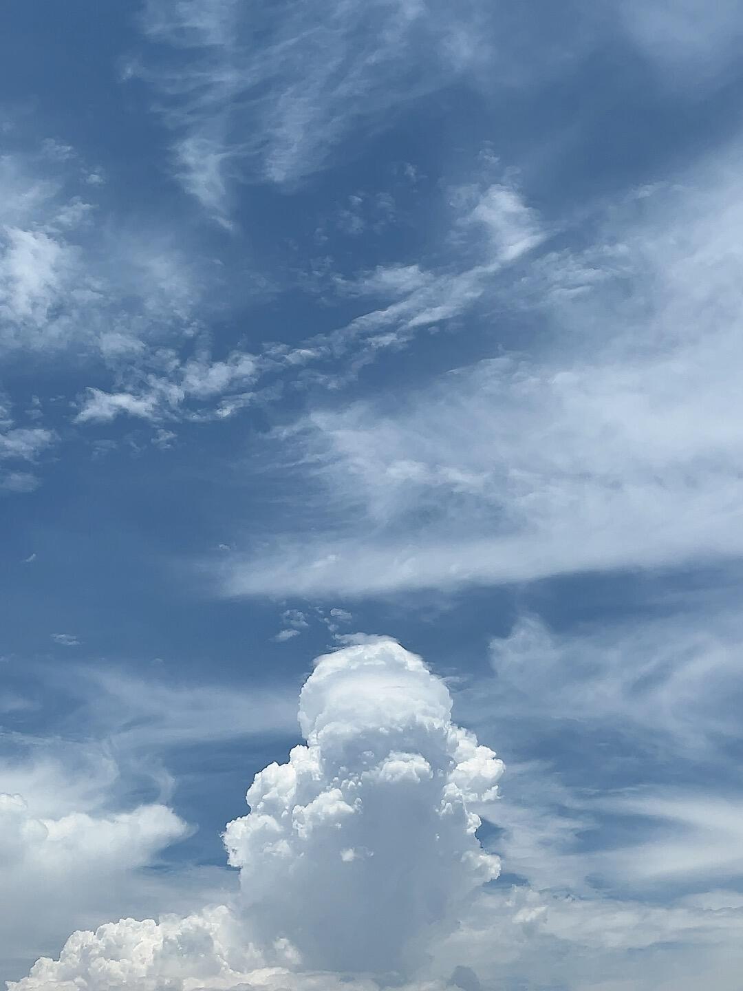 救命！今天天空好美！今天是晴天吗？