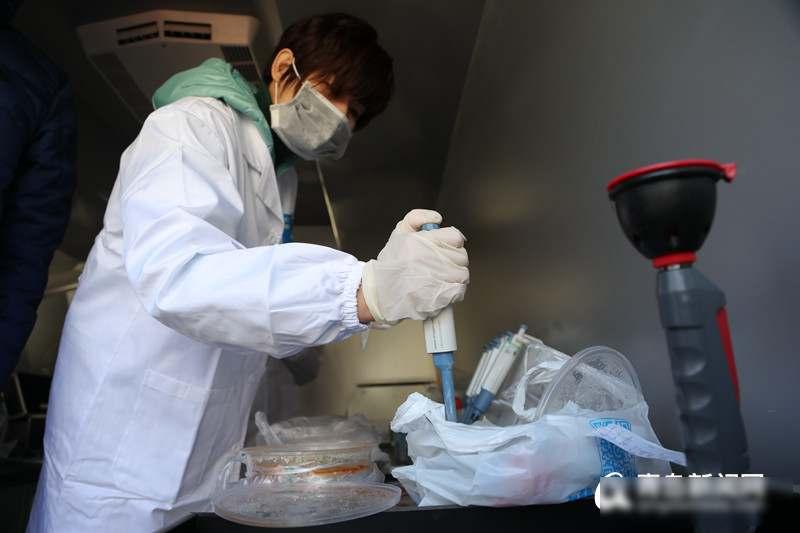 司机为何绕路百里？汤中暗藏罂粟壳，老板日赚数千暴利揭秘

2021年湖南涟源有四