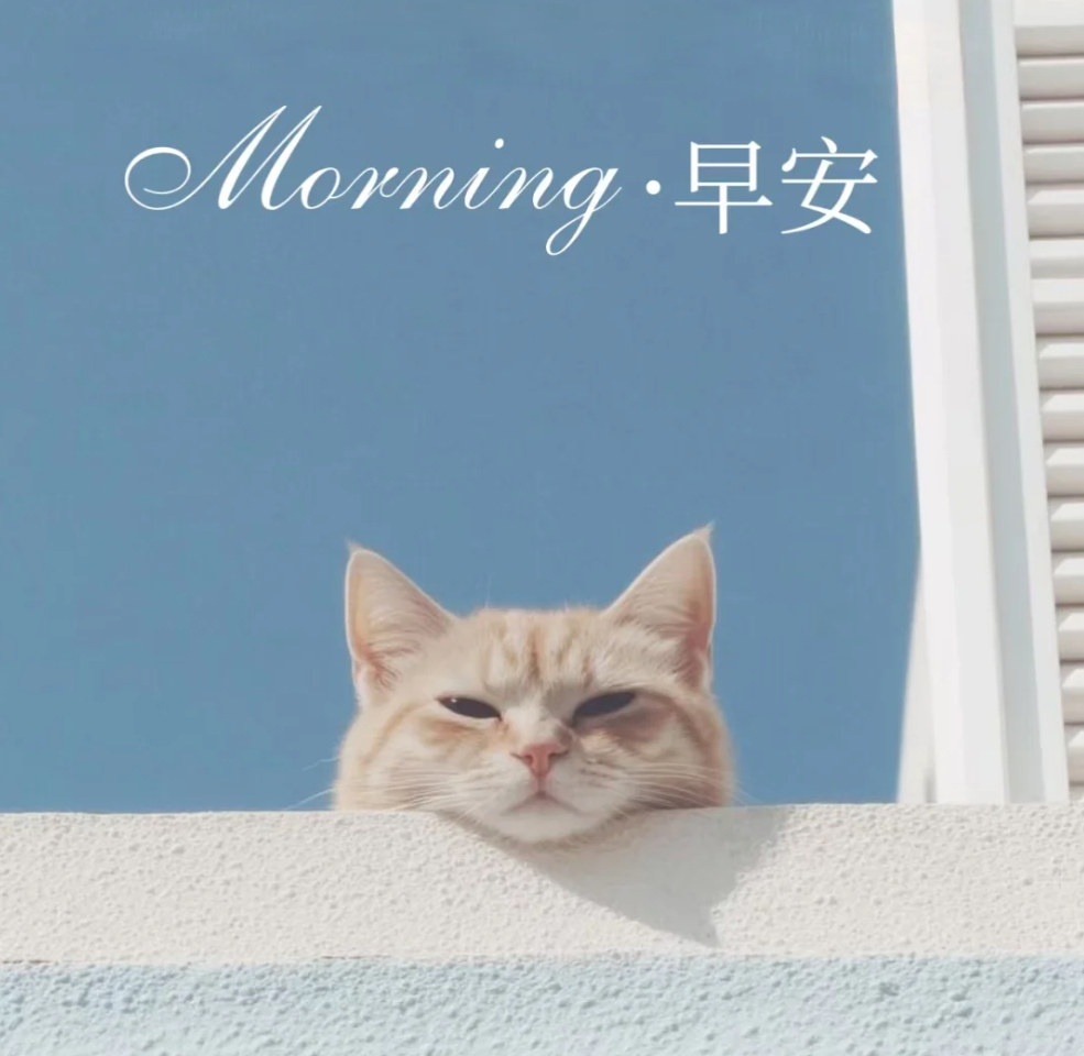 早安 最珍贵的不是你现在有多好，而是经过努力，以后的每一天都越来越好。 