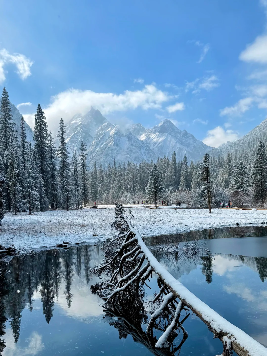 西安周末出逃✨白马王朗2天1夜雪国攻略