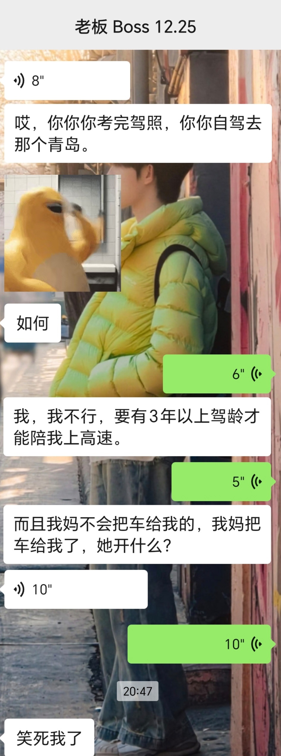 这个入要我刚拿到驾照就开车去青岛
