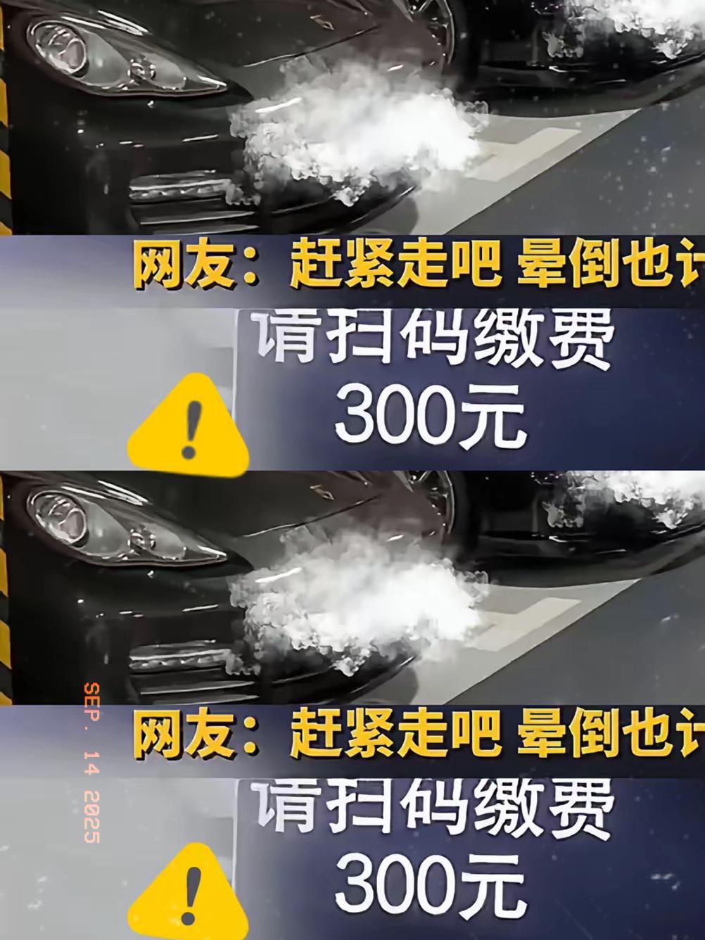 这下彻底出名了
不仅上海，全国人民都知道了！
有姑娘在半岛酒店对面餐厅吃饭，车停