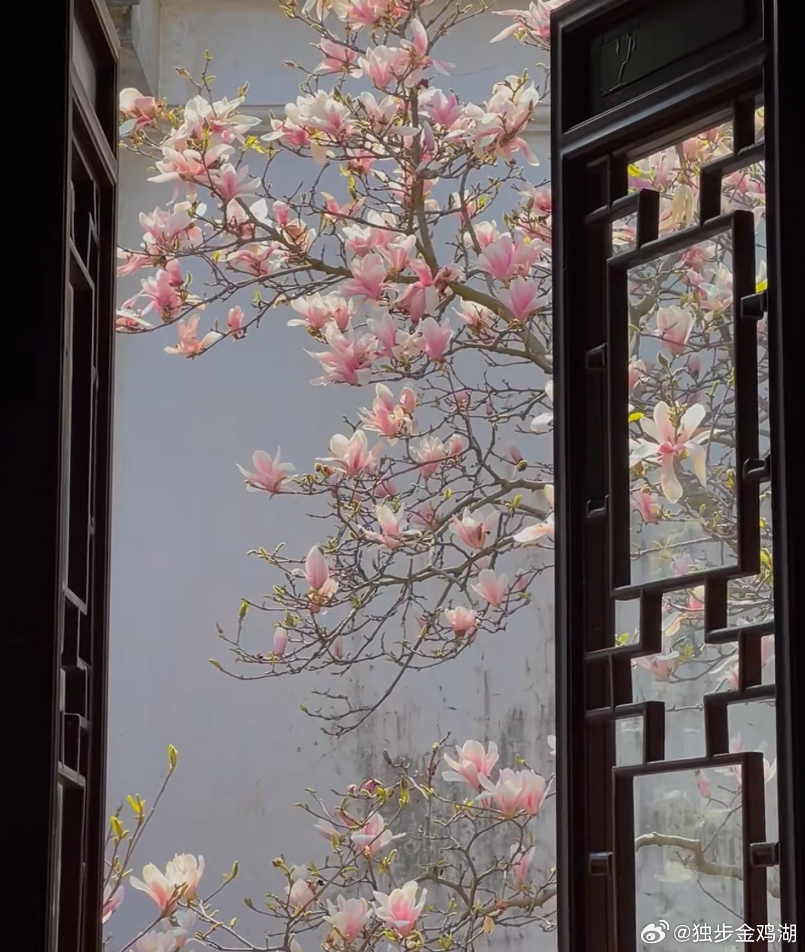 心里话          用自己的行为来证实自己的言语。       