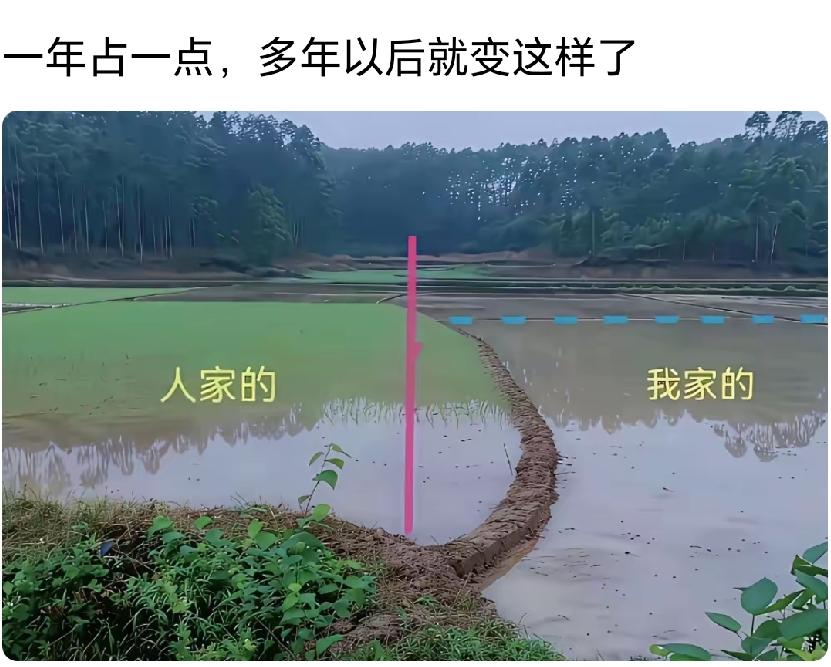 摊上个这样的邻居，该怎么办？