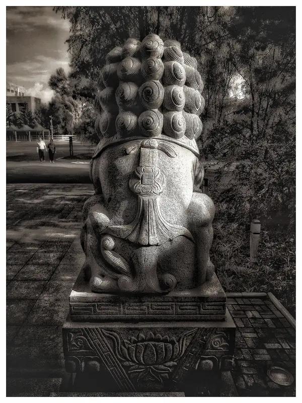 当热血如熔岩般汹涌奔突，当脊梁似不朽的丰碑傲然挺立，一个民族的魂魄便化作了最锐利