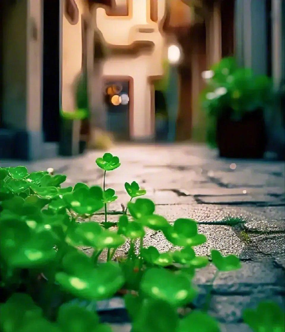 聪明的人，凡事都往好处想，以欢喜的心想欢喜的事，自然成就欢喜的人生；愚痴的人，凡